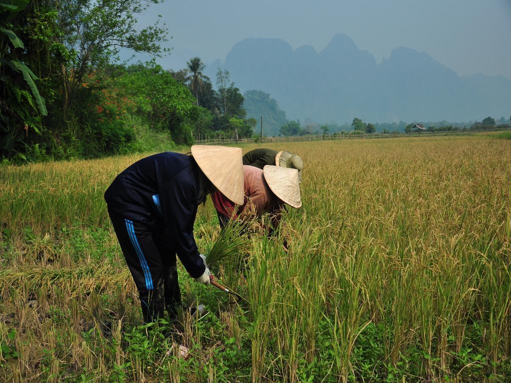 Viengtara Vangvieng Resort Vang Vieng Εξωτερικό φωτογραφία